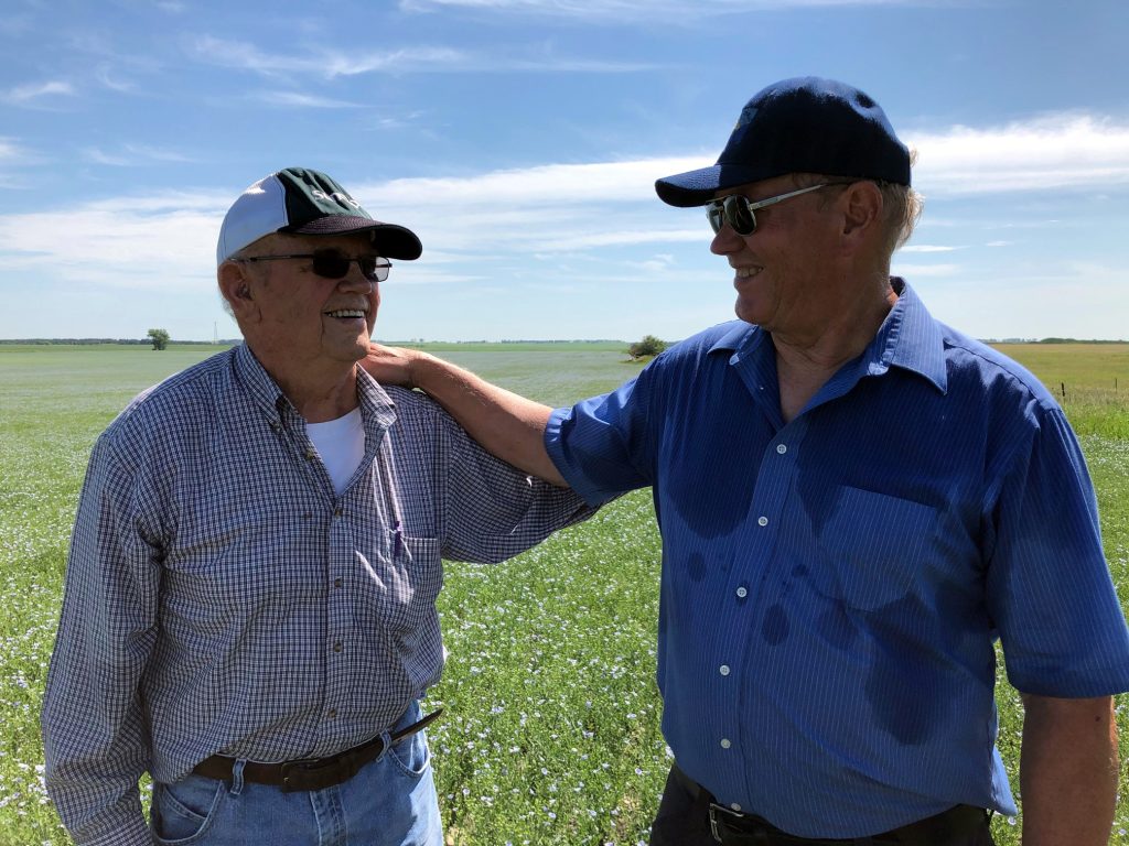 Grandpa Don's last flax harvest