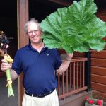 Fresh Rhubarb-Flax Dessert