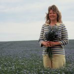 Esther Hylden, the Flax Lady, in blooming flax