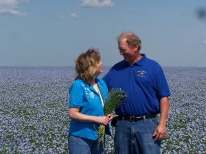 Blooming flax