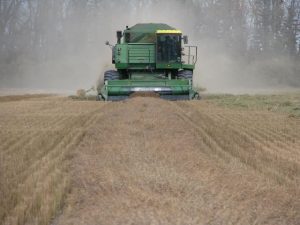 Combining flax