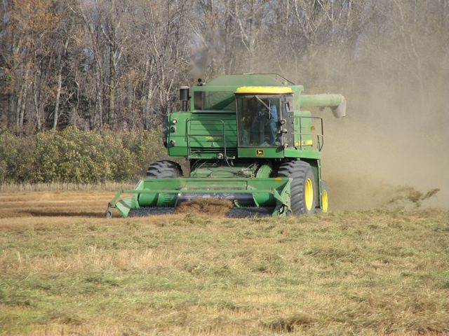 harvesting flax