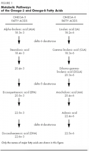 Metabolic Pathways of the Omega-3 and Omega-6 Fatty Acids