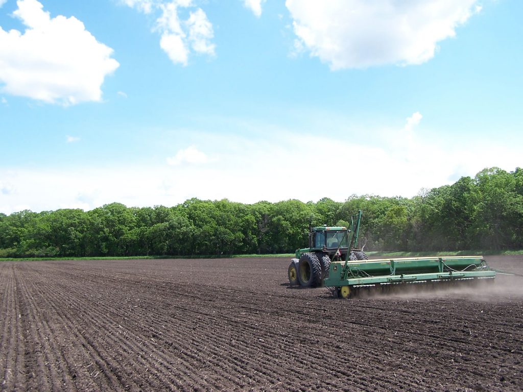 Interactive Effects of Flaxseed and Tamoxifen on Human Breast Cancer