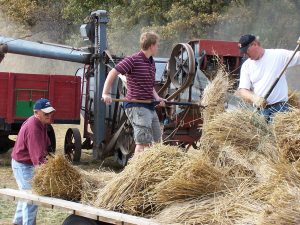 Three generations pitching bundles into threashing machine